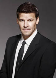 David Boreanaz as FBI Special Agent Seeley Booth