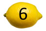 Bottom 6