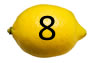 Bottom 8